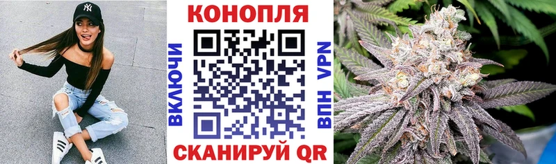 Бошки марихуана Ganja  Томилино 